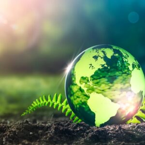 North East Climate Education: Empowering Communities for a Sustainable Future